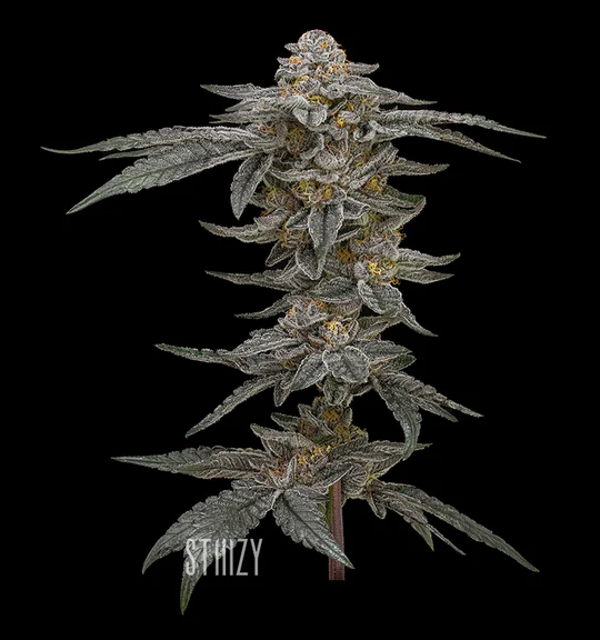 Premium Cannabis Flower