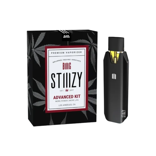 OFFICIAL BIIIG STIIIZY Battery