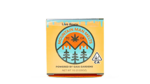 Papaya Melon